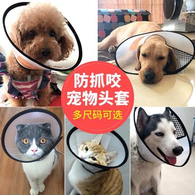伊丽莎白圈猫咪狗狗脖套大