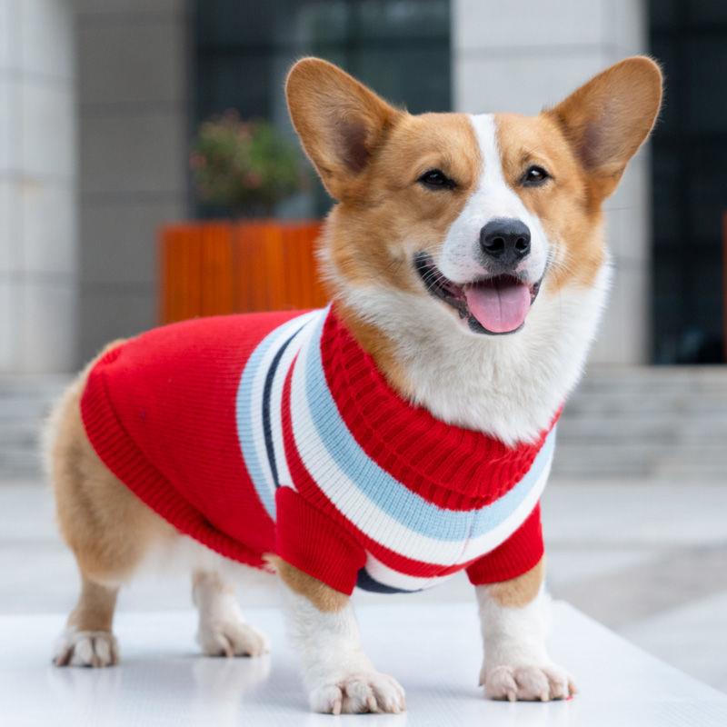 清仓年款狗狗衣服秋冬宠物