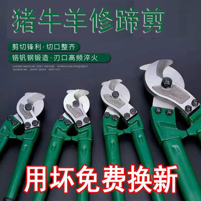 牛羊猪跛蹄修蹄剪牛羊猪病