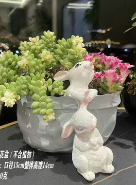 新款可爱的猫咪花盆多肉植物小盆栽 阳台庭院小装饰小猫花瓶摆件