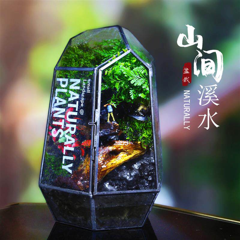 新款网红创意流水系统生态