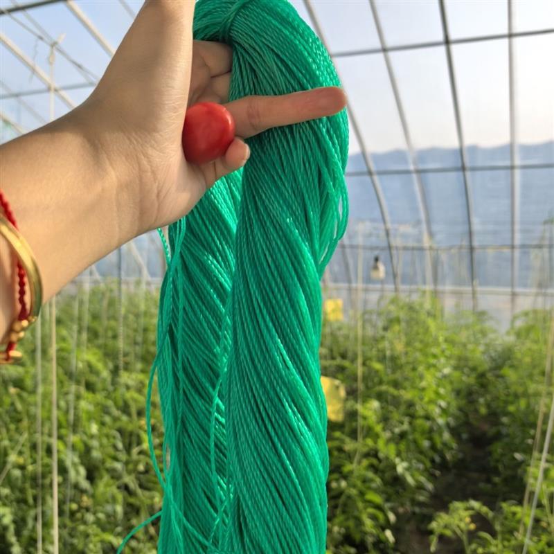 大棚吊秧绳番茄吊蔓绳子西