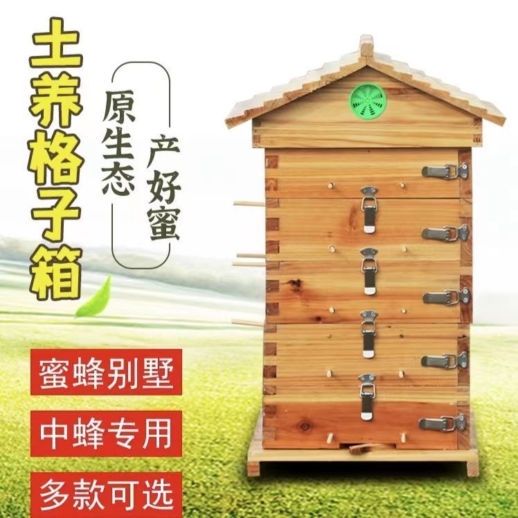 蜜蜂箱中蜂专用土蜂格子蜂箱全套方便查看养蜂标准土养中蜂箱包邮