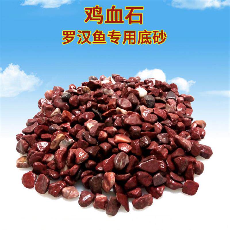 造景底砂鱼缸造景鸡血石罗