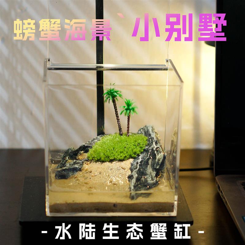 螃蟹桌面饲养缸网红迷你小