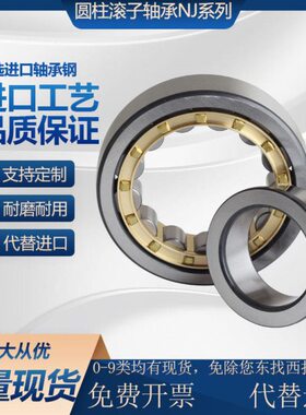 圆柱滚子轴承带挡边NJ2234EM 2236 2238 2240 2244 铜保 进口品质