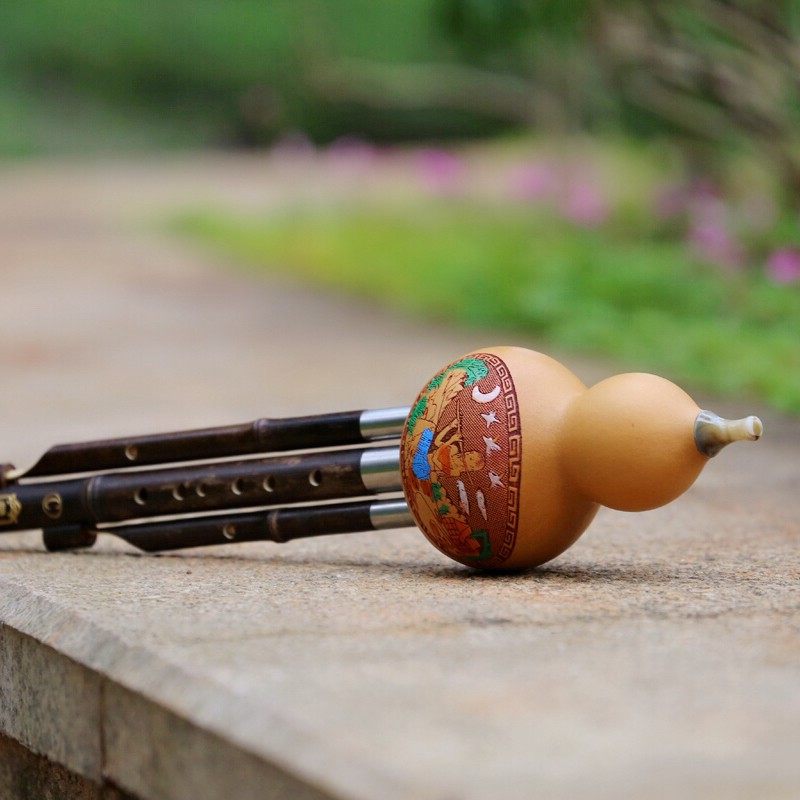 葫芦丝 乐器 初学 紫竹 C调 降B调 小D调 F调 云乐坊 儿童 小学生