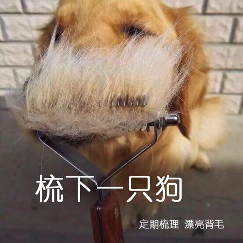 乐比Y型梳底绒梳狗猫绒毛梳开结金毛萨摩边牧死毛浮毛梳宠物毛刷