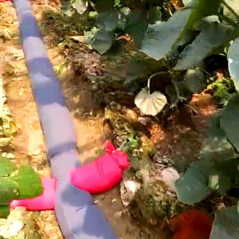 3寸农用浇地水带袖多袖水布袋加厚灌溉神器水管地龙带农村浇水,农机/农具/农膜,灌溉工具,淘宝优惠券,粉丝福利购,淘宝优惠卷