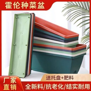 加厚阳台长条种菜盆家用长方形种菜箱霍仑盆蔬菜种植塑料花盆特大