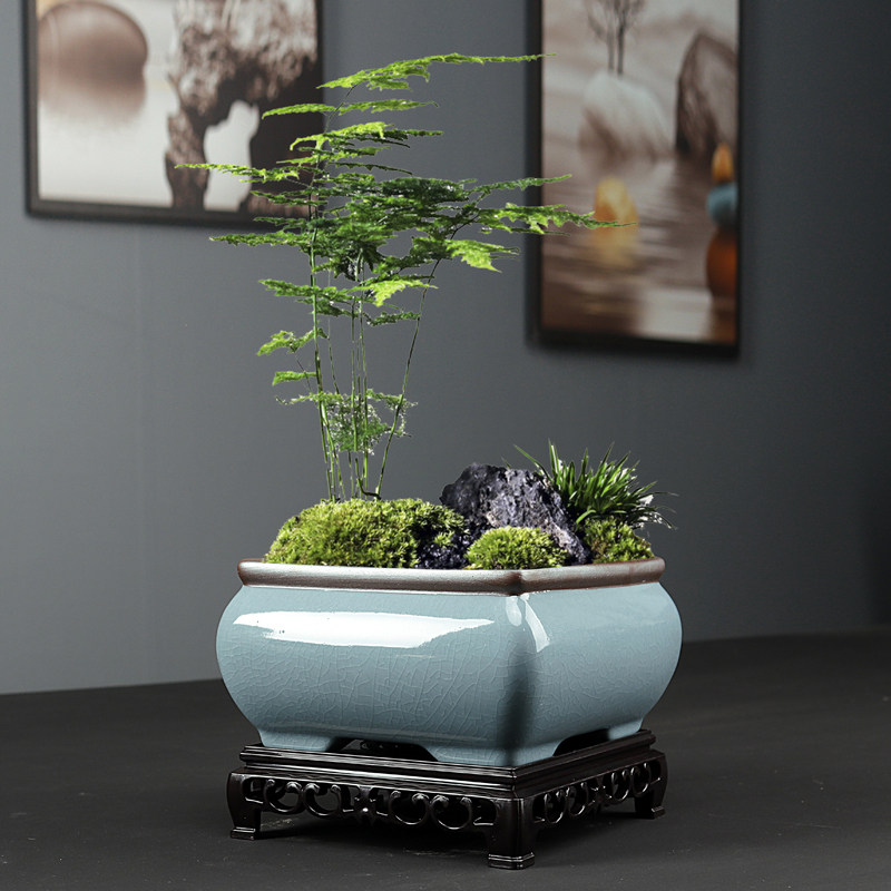 哥窑陶瓷花盆紫砂蝴蝶兰专用文竹盆景盆室内客厅绿植造景多肉容器,鲜花速递/花卉仿真/绿植园艺,花盆,淘宝优惠券,粉丝福利购,淘宝优惠卷