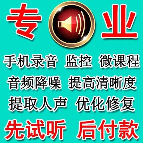 音频降噪处理去风声电流底噪环境音修复人声音乐伴奏提取声音优化