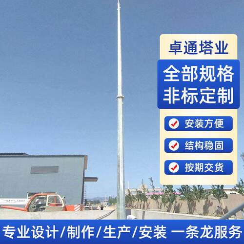 20米管避雷塔热镀锌钢结构GH接闪杆塔厂区变电站防雷设备