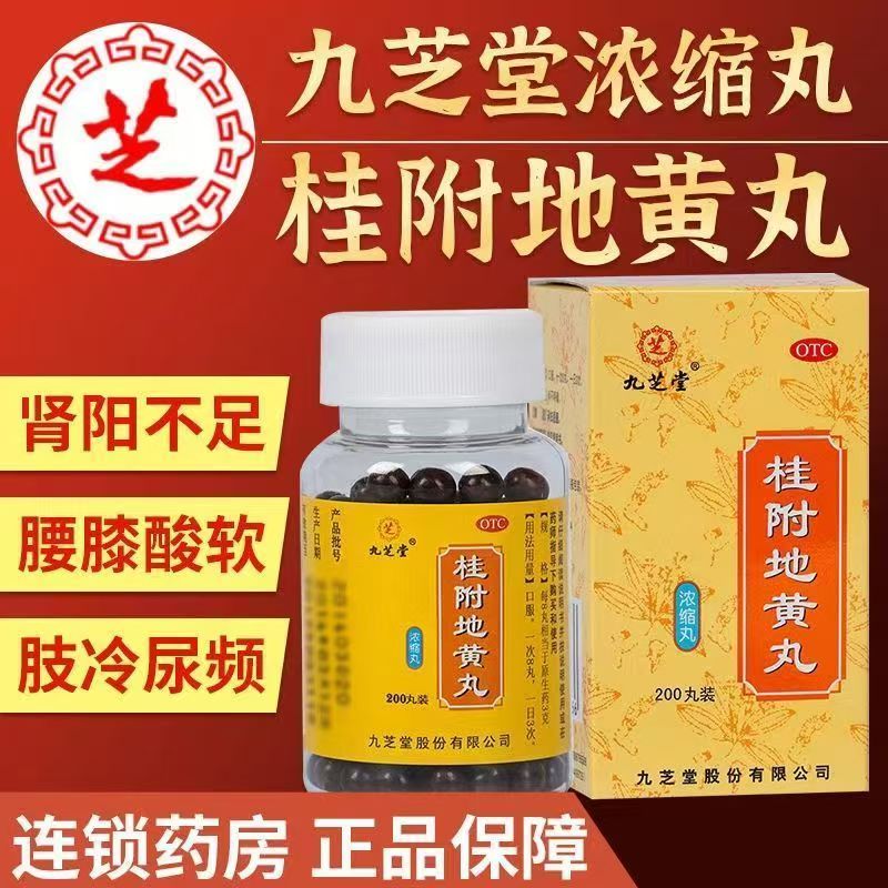 九芝堂 桂附地黄丸 200丸*1瓶/盒 温补肾阳腰膝酸软尿频补肾 正品