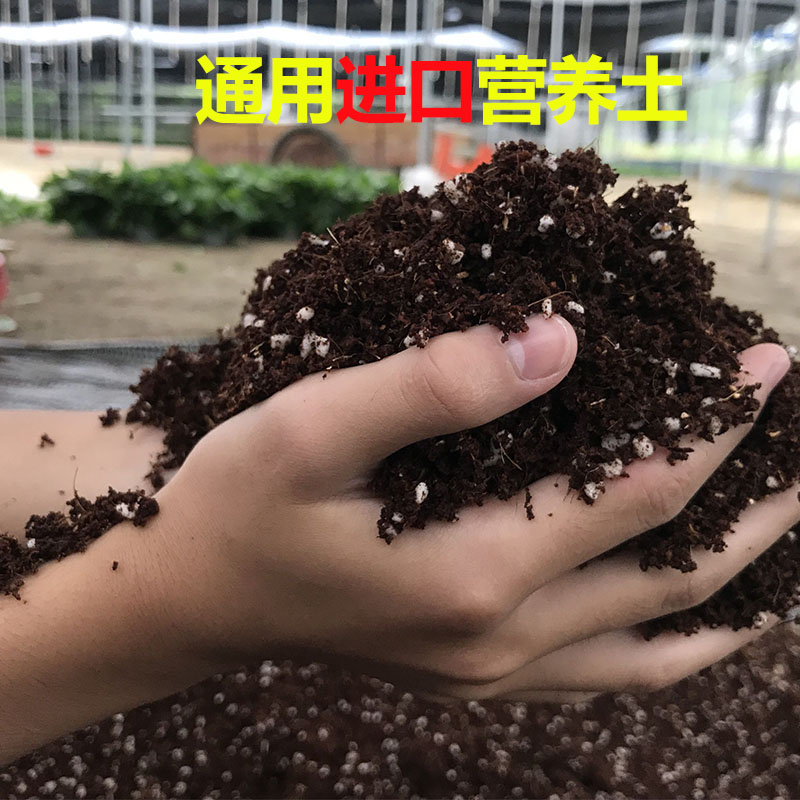 5斤通用营养土绿萝花土种植土花配方介质/营养土