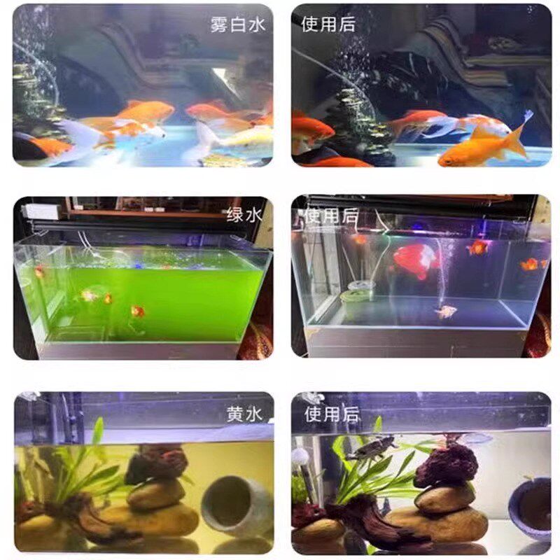鱼缸水净化剂特清一滴清水质清澈剂专用硝化细菌养鱼不伤鱼水立清