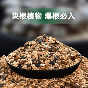 块根专用营养土龟甲龙仙人掌通用柱龙舌兰仙人球棒槌量天尺颗粒土