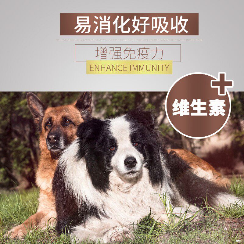 狗粮边境牧羊犬成犬中大型犬专用 美毛牛肉味天然粮30斤 边牧狗粮