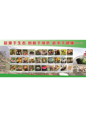 起源于生态 创新于绿色 追求于健康海报云南野生菌展板墙贴墙纸