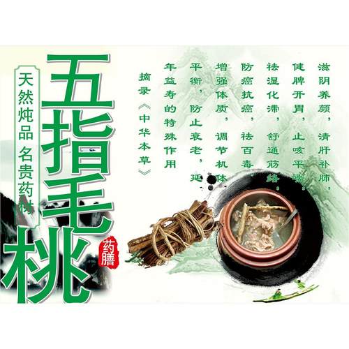 五指毛桃天然炖品名贵药材海报展板装饰画KT板墙贴墙纸贴纸挂图