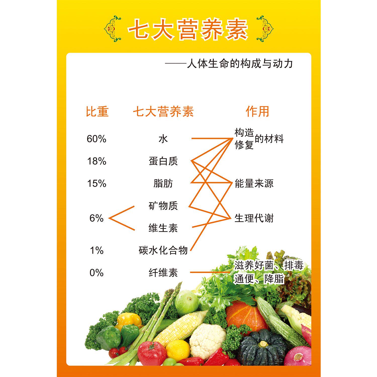 七大营养素人体生命的构成与动力软装墙贴