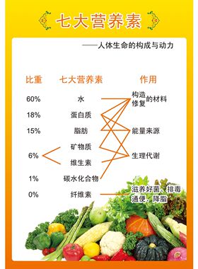 七大营养素人体生命的构成与动力海报展板中国居民平衡膳食宝塔