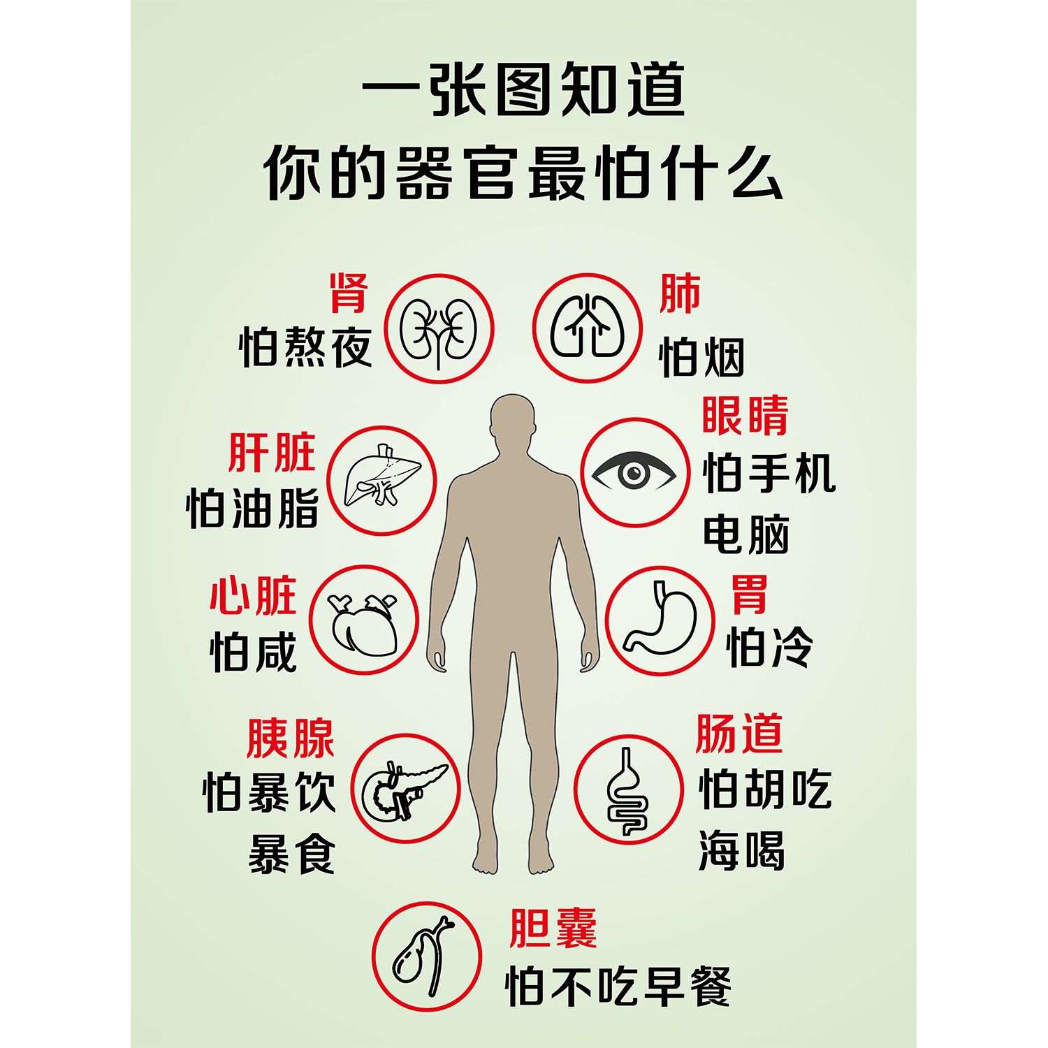 你的器官怕什么墙贴面装饰美容院馆肺肝胆肾胃胰腺肠道养生海报