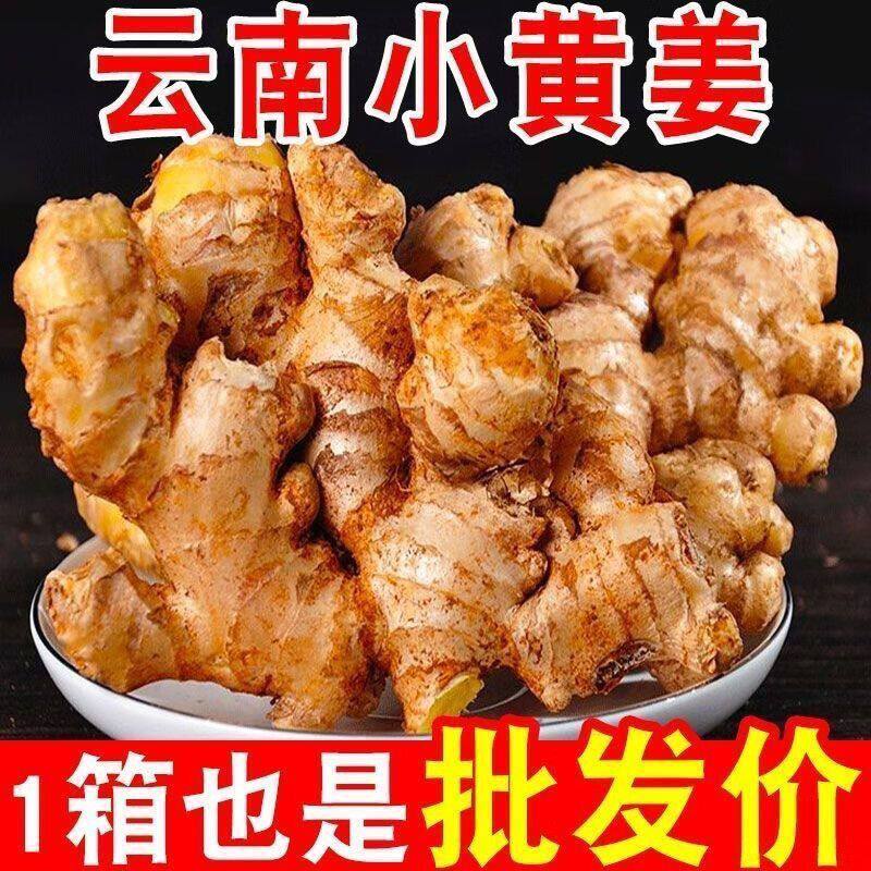 正宗云南小黄姜新鲜现挖老姜新姜