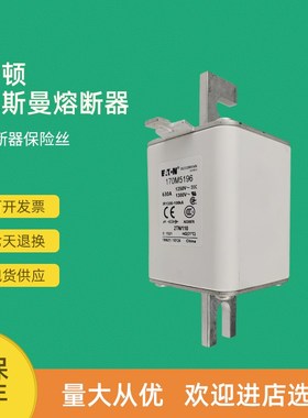 全新快速熔断器保险170M5167 170M5168 170M5174 170M5175