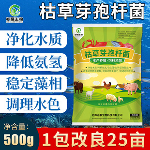 水产枯草芽孢杆菌降解亚硝酸盐氨氮除蓝藻净化水质肥水净水专用菌