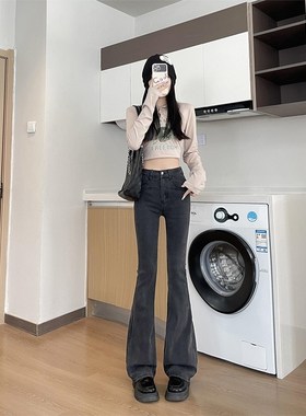 浅蓝色微喇牛f仔裤女春秋冬2024新款小个子高腰弹T力修身显瘦喇叭