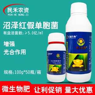 光达绿沼泽红假单胞菌光合细菌菌剂农用微生物菌肥大姜大蒜叶面肥