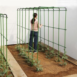 种黄瓜架子豆角架条黄瓜爬藤架子家用西瓜爬藤架种菜专用支架瓜棚