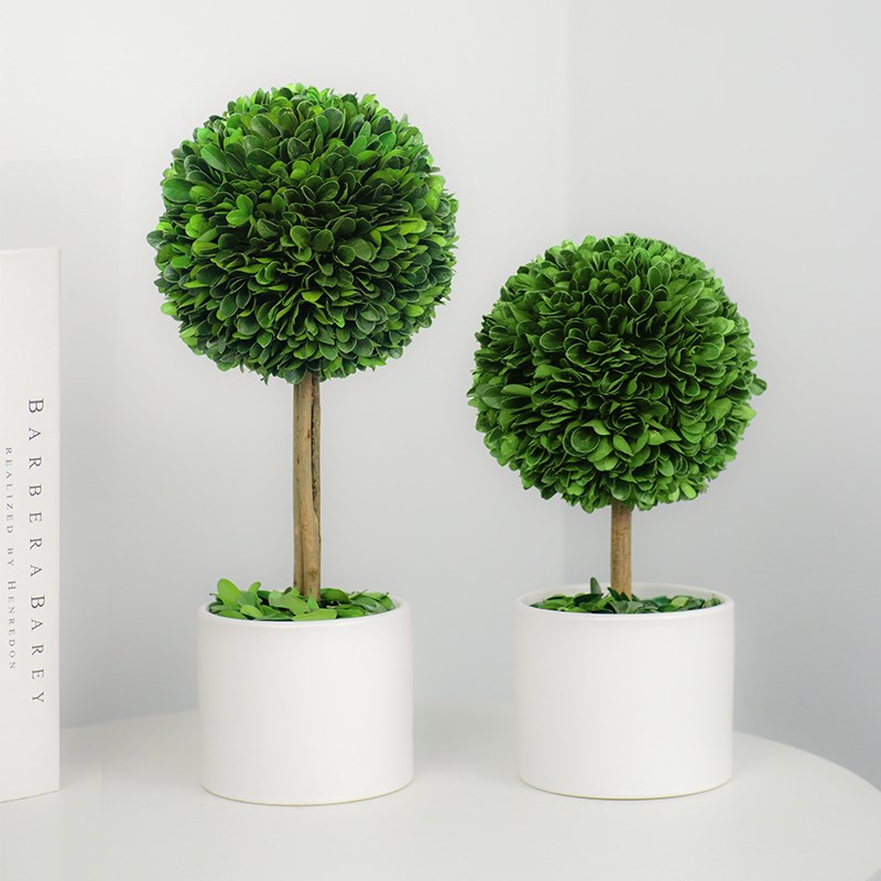 永生植物桌面绿植摆件办公室小盆栽黄杨室内盆景情绪稳定花盆四季