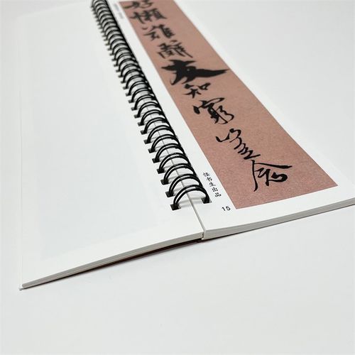 北宋 米芾苕溪诗帖 诗卷行书书法毛笔字帖临摹教程近距离书法字卡