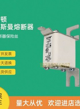 全新快速熔断器保险170M4834 170M4835 17J0M4863D 170M4864D
