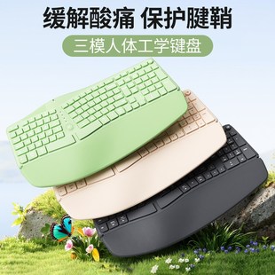 BOW 人体工学三模无线蓝牙波浪键盘充电掌托有线电脑舒适女生办公