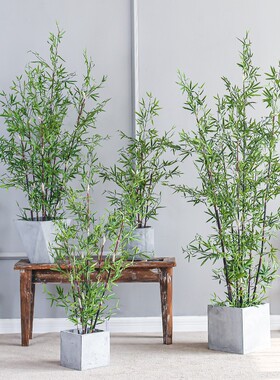 七茉假盆景仿真竹子室内外落地大绿植橱饰
