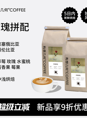 构想几何coffee玫瑰拼配豆埃塞俄比亚咖啡豆新鲜中浅烘焙豆500g*2