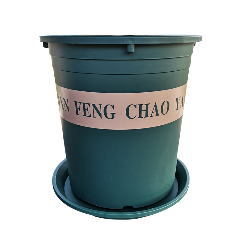 圆形加厚7加仑超大控根大型绿植月季种果树花盆滚轮带花架孔
