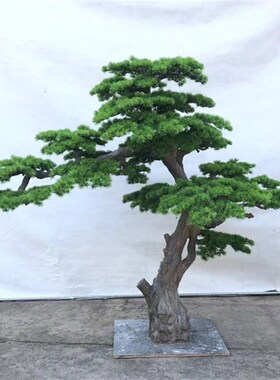 仿真迎客松室内外装饰造景仿真树绿植罗汉松假美人松大型落地