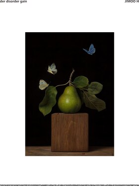 集木室物所蝴蝴得利挂画墙画客厅入户玄关画沙发背景墙