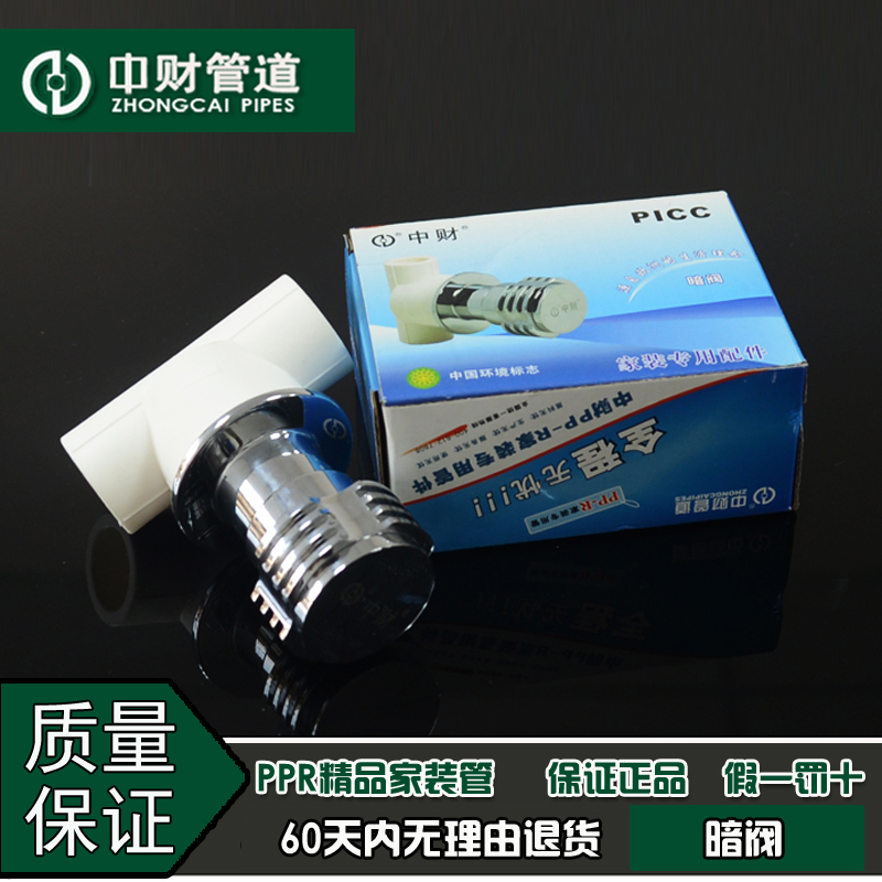 中财管道 PPR冷热水管家装水管分20/分 暗暗装门