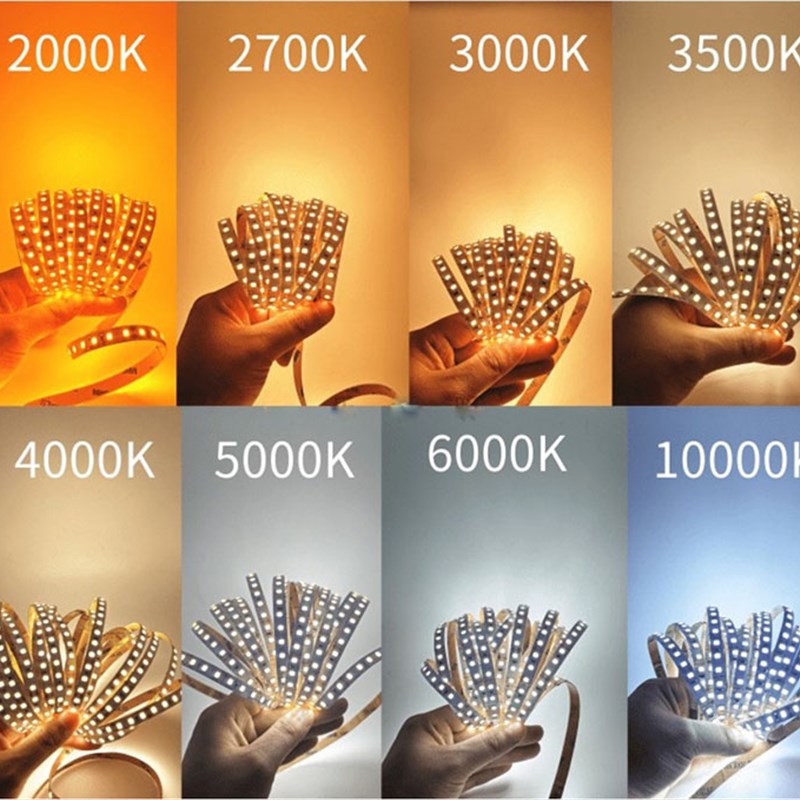 12V24V高亮2835准色温120灯2000K2400K2700K3000K4000K5000K6000K