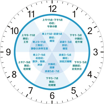 创意美容院挂钟经脉作息时间表时钟养生子午流注生理时段女子中心