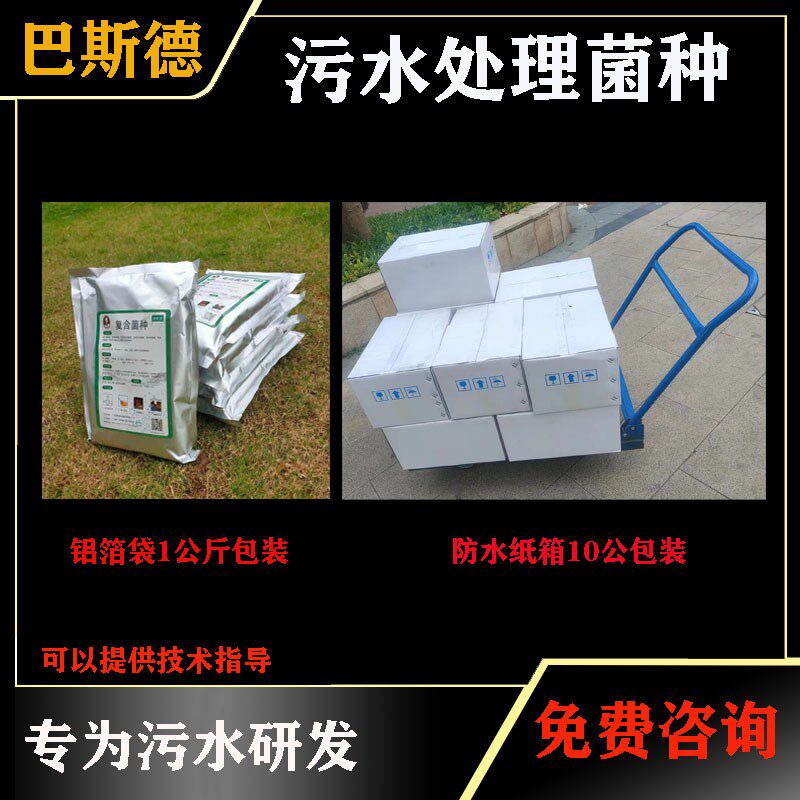 巴斯德 污水处理专用复合菌 微生物废水处理菌 复合菌种 降解COD