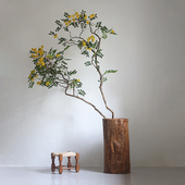 侘寂风绿植落地器实木整挖养木桶装 饰酒店民宿复古大瓶