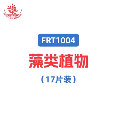 藻类显微玻片装一盒种教标准含硅藻团藻衣藻念珠藻鼓藻