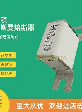 全新快速熔断器保险170M2073 170M2074 170M2075 170M2076