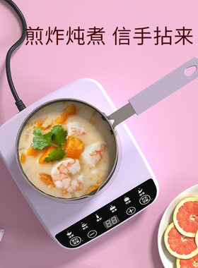 电磁炉小型迷你儿童专用厨具麦饭石炒锅煎锅奶锅电饭煲过家家玩具
